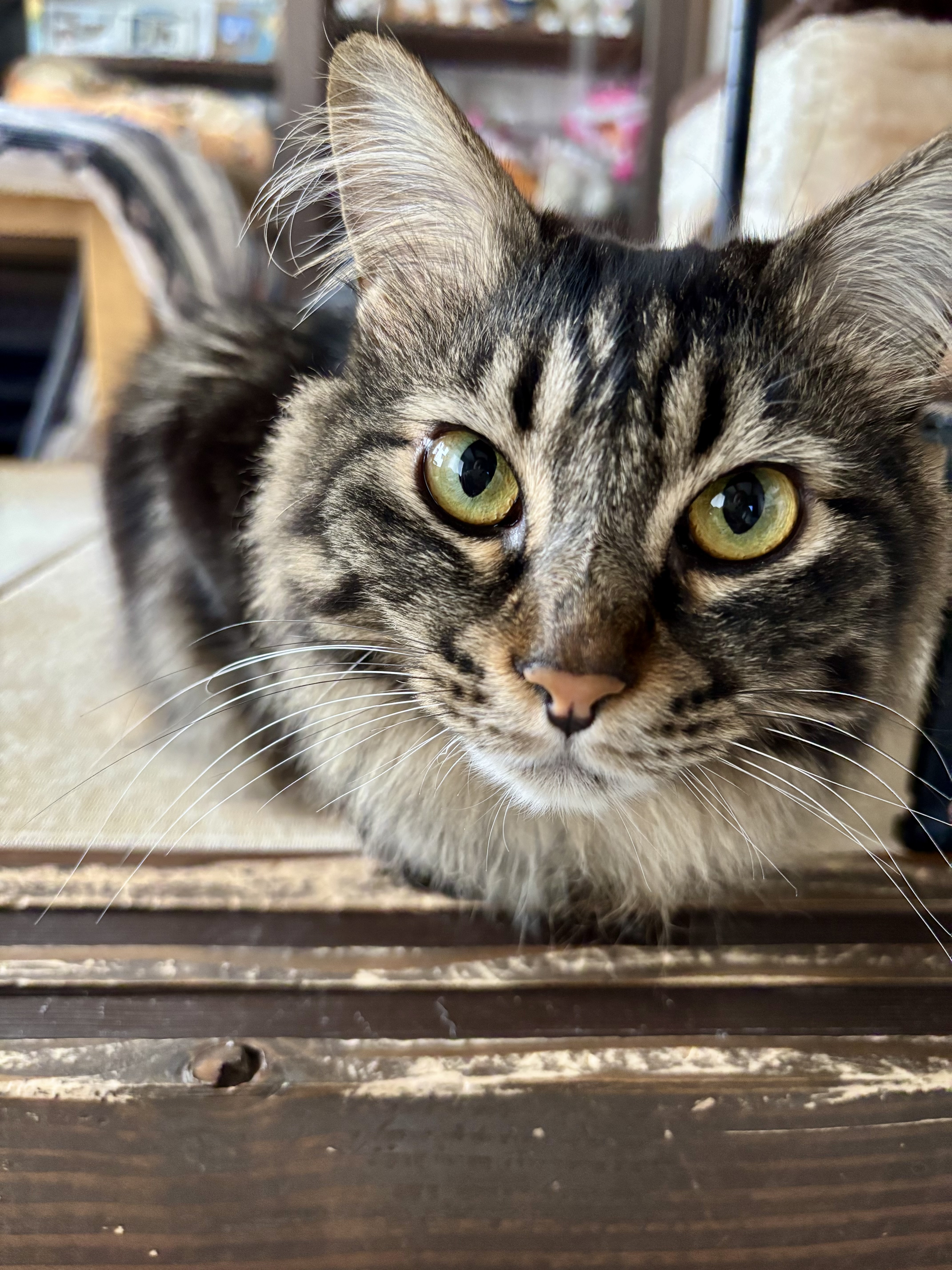 は?無いわぁ。。。