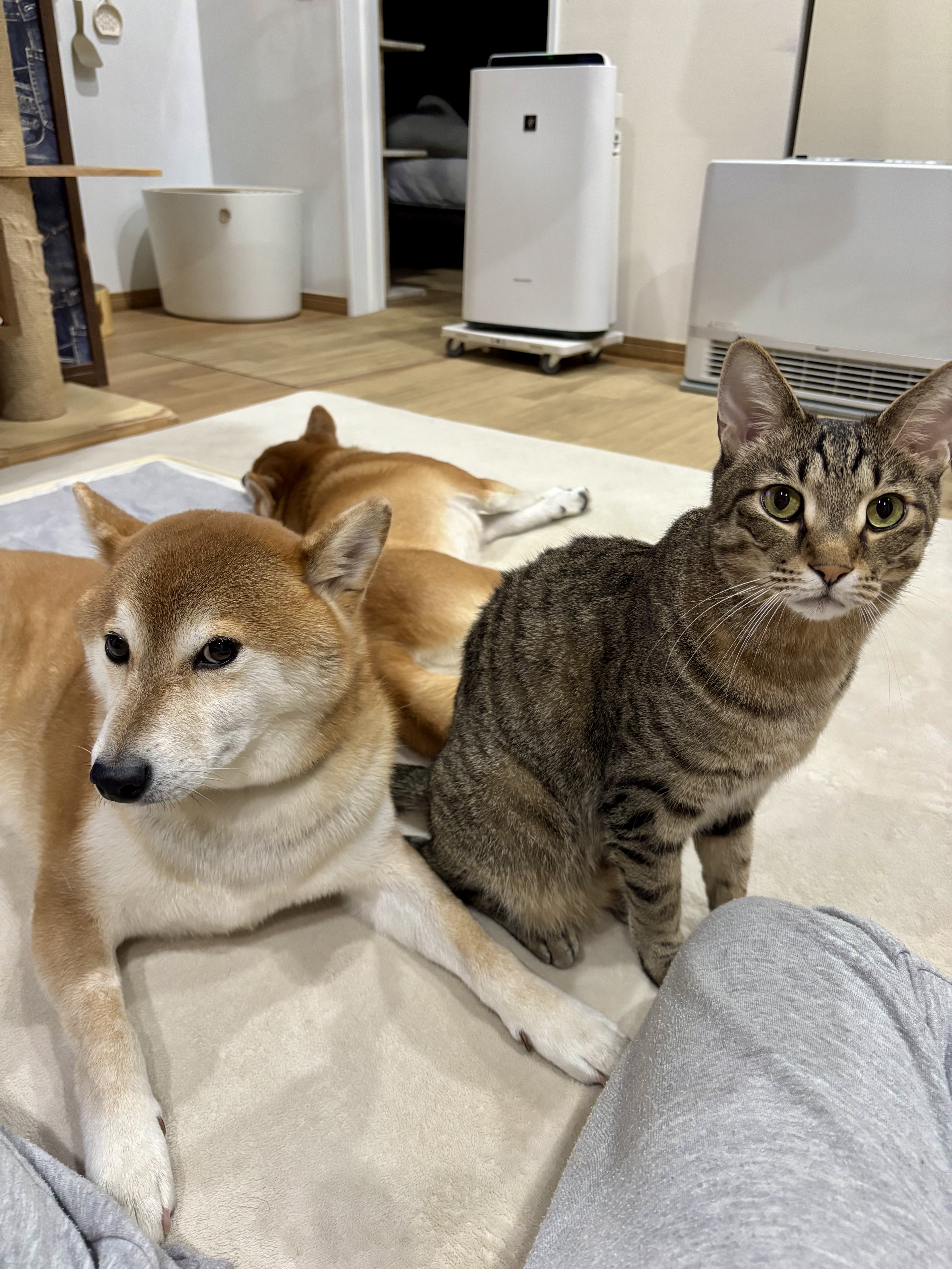 え⁉まじで⁉泣いてんの⁉