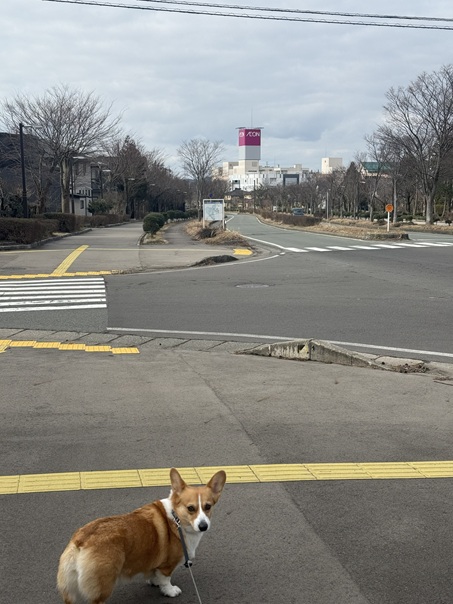 昨日は久しぶりに気持ちいいお天気の日でした。
